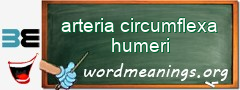 WordMeaning blackboard for arteria circumflexa humeri